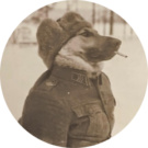 Bilbo Beutlin Avatar